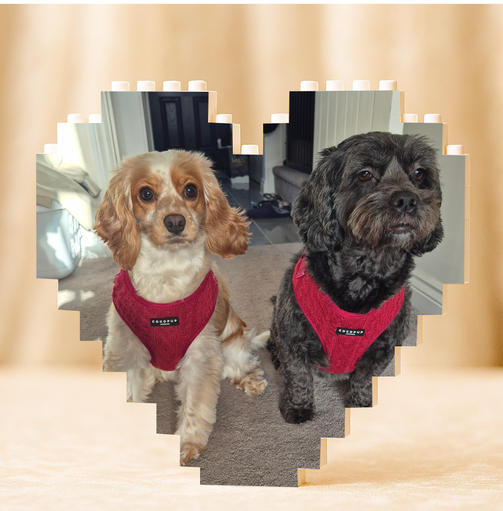 Dog Photo Building Block - Personalised Gift For Pet Owner